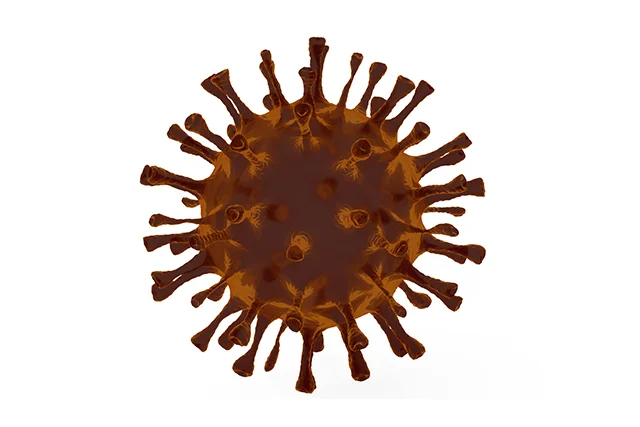 Coronavirus