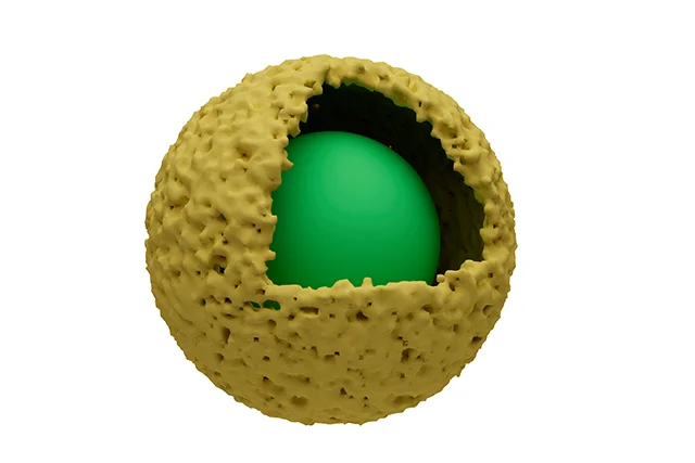 concave-convex core-shell structure