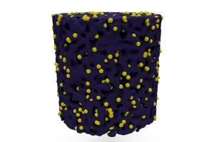 Cylindrical Porous Microspheres as Carriers