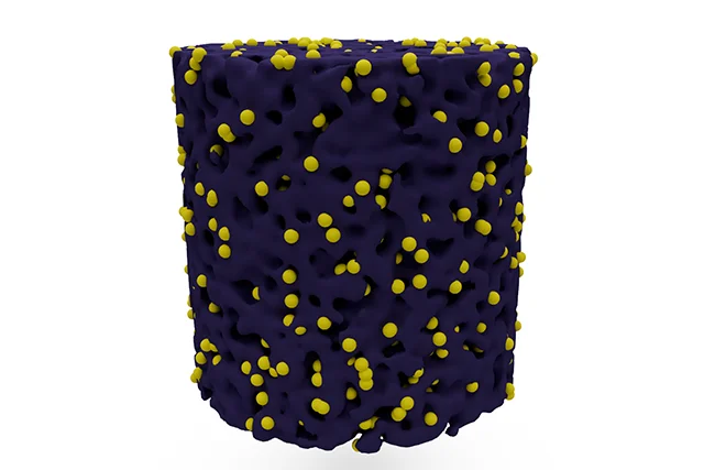 Cylindrical Porous Microspheres as Carriers