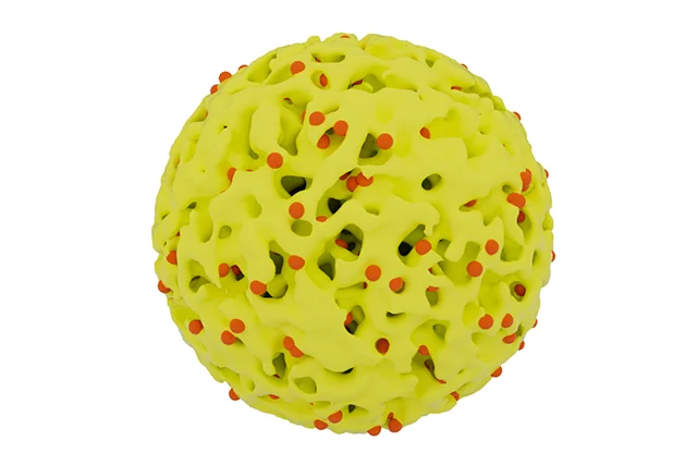 Porous Microsphere Support