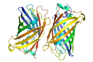 Green Fluorescent Protein-1 (GFL)