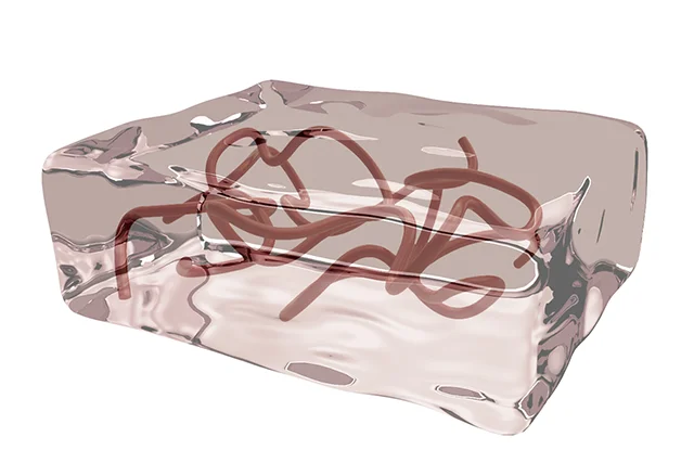 nano-hydrogel