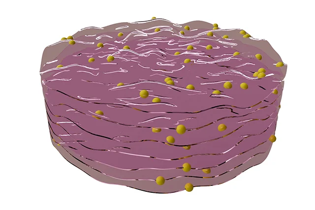 Sheet-like membrane