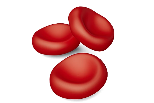 Red Blood Cells
