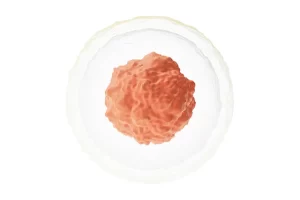 Cell structure