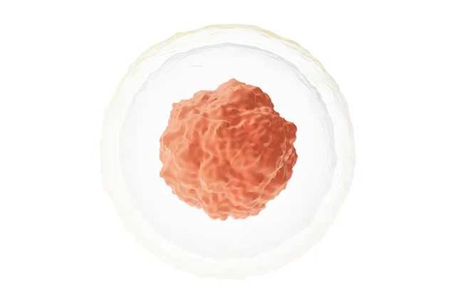 Cell structure