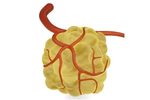 tumor blood vessels