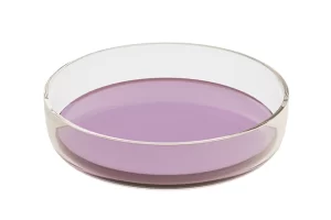 Dish
